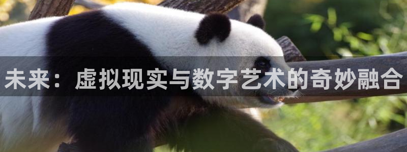 杜邦娱乐注册官方登录app：未来：虚拟现实与数字艺术的奇妙融
