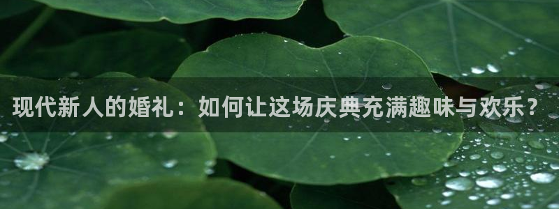 手机杜邦娱乐下载安装：现代新人的婚礼：如何让这场庆典充满趣味