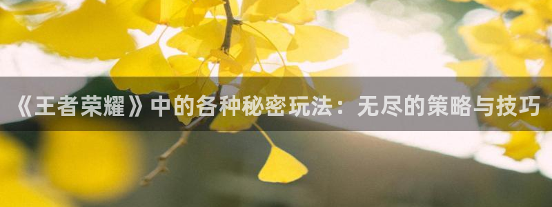 杜邦娱乐网页登录入口官网：《王者荣耀》中的各种秘密玩法：无尽
