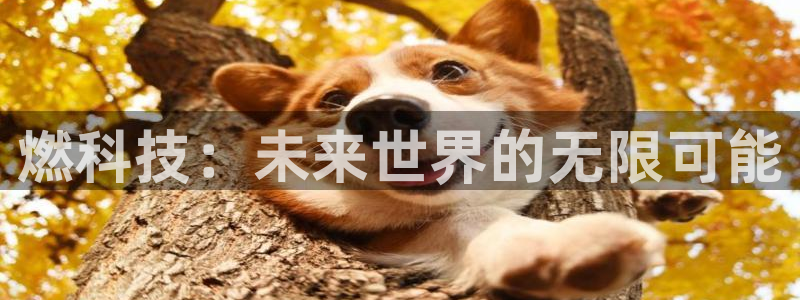 杜邦娱乐官网：燃科技：未来世界的无限可能