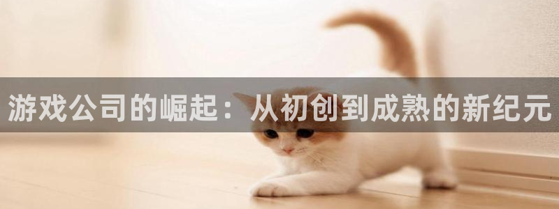 杜邦娱乐注册登录平台：游戏公司的崛起：从初创到成熟的新纪元