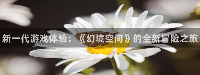 杜邦娱乐是什么：新一代游戏体验：《幻境空间》的全新冒险之旅