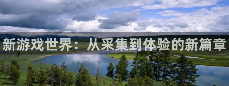 杜邦娱乐Ii：新游戏世界：从采集到体验的新篇章