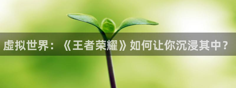 杜邦娱乐平台登陆：虚拟世界：《王者荣耀》如何让你沉浸其中？