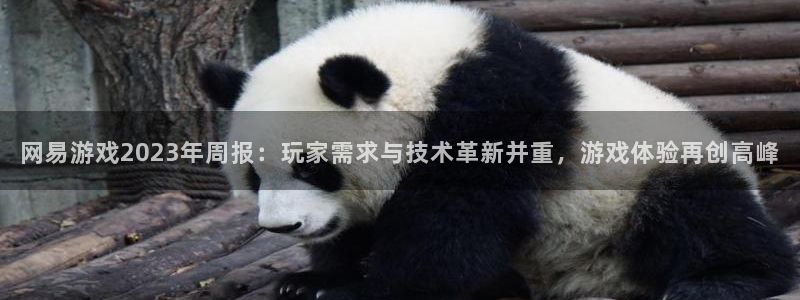 杜邦娱乐平台负责人