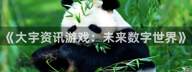 杜邦娱乐是什么：《大宇资讯游戏：未来数字世界》