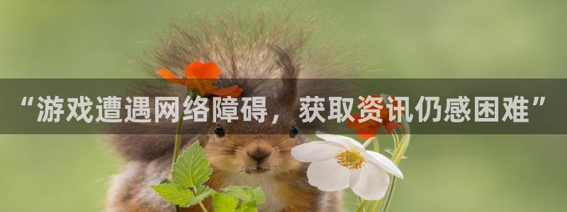杜邦娱乐下载链接：“游戏遭遇网络障碍，获取资讯仍感困难”