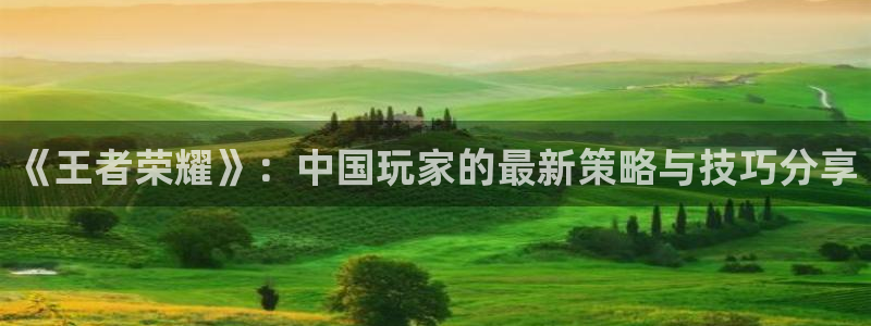 杜邦娱乐登录地址：《王者荣耀》：中国玩家的最新策略与技巧分享