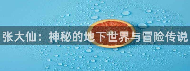 杜邦娱乐app官网入口