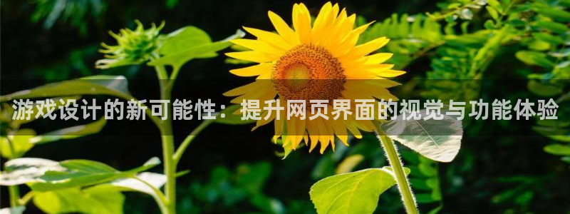 杜邦娱乐手机app支付密码是不是取款密码呢